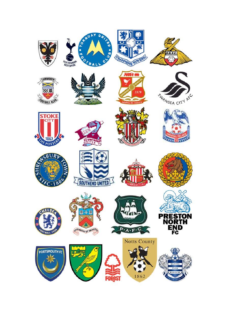 球迷的共鸣 球迷的共鸣