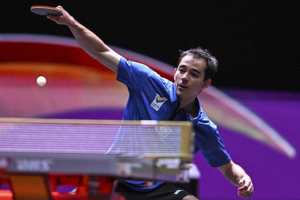 称教科书式 称教科书式